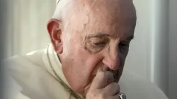 Papst Franziskus, 6. November 2022 / Vatican Media