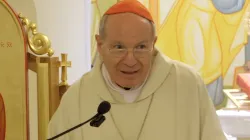 Kardinal Christoph Schönborn OP / screenshot / YouTube / Katholische Hochschule ITI