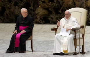 Papst Franziskus bei der Generalaudienz am 3. August 2022 in Rom. / Daniel Ibáñez / CNA Deutsch