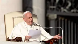 Papst Franziskus bei der Generalaudienz am 23. Oktober 2019 / Daniel Ibanez / CNA Deutsch