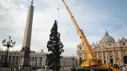 Jedes Jahr spendet eine andere Region oder Nation den Weihnachtsbaum für den Petersplatz. / CNA/Lucia Ballester