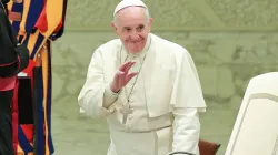 Papst Franziskus begrüßt die Gläubigen bei der Generalaudienz am 30. November 2016. / CNA/Lucia Ballester