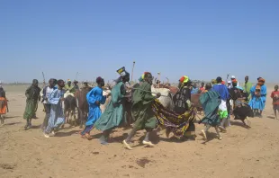 Hirten der Fulani (Peuls) in Mali: Archivbild aus dem Jahr 2014 / Fasokan / Wikimedia (CC BY-SA 4.0)