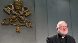 Kardinal Marx im Presse-Saal des Vatikans am 15. Februar 2017 / CNA/Daniel Ibanez