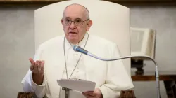 Papst Franziskus spricht bei einer aus dem Apostolischen Palast per Video übertragenen Generalaudienz.  / Vatican Media 