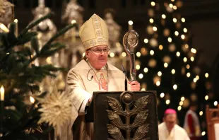 Bischof Rudolf Voderholzer in seiner Predigt zum Jahresende 2018 / Julia Wächter / Bistum Regensburg