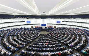 Das Europäische Parlament in Straßburg / Diliff / Wikimedia (CC BY-SA 3.0) 