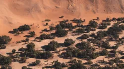 Namib, eine Wüste an der Südwestküste Afrikas / Joshua Kettle / Unsplash