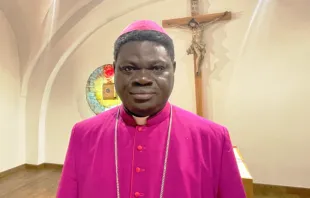 Wilfred Chikpa Anagbe, Bischof von Makurdi (Nigeria) / Kirche in Not