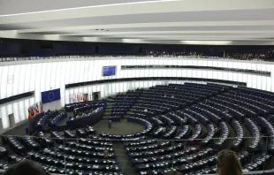 Der Plenarsaal des Europäischen Parlaments in Straßburg / J. Patrick Fischer via Wikimedia (CC BY-SA 3.0)