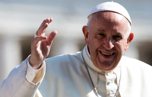 Papst Franziskus auf dem Petersplatz am 20. Juni 2018.
 / Daniel Ibanez / CNA Deutsch