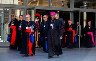 Bischöfe verlassen die Synodenhalle des Vatikans während des Treffens im Oktober 2018 / Daniel Ibanez / CNA Deutsch