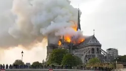 Notre Dame / Twitter (Screenshot)