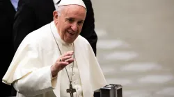 Papst Franziskus bei der Generalaudien am 6. Februar 2019 / Daniel Ibanez / CNA Deutsch
