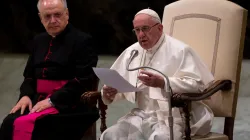 Generalaudienz mit Papst Franziskus am 13. Februar 2019  / Daniel Ibanez / CNA Deutsch 