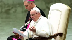 Papst Franziskus in der Audienzhalle am 20. Februar 2019 / Daniel Ibanez / CNA Deutsch