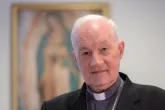Agenda, Missbrauch und Schisma: Was Kardinal Ouellet zum "Synodalen Weg" sagte 