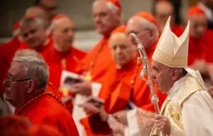 Papst Franziskus beim Konsistorium im Jahr 2019 / Daniel Ibáñez / CNA Deutsch
