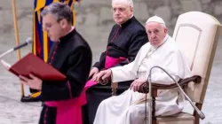 Generalaudienz mit Papst Franziskus am 22. Januar 2020 / Daniel Ibanez / CNA Deutsch 