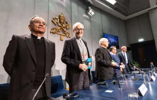 Pressekonferenz im Vatikan am 12. Februar 2020 / Daniel Ibanez / CNA Deutsch 