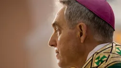 Erzbischof Georg Gänswein am 1. Januar 2021 / Daniel Ibanez / CNA Deutsch 