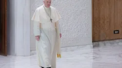 Papst Franziskus bei der Generalaudienz am 18. August 2021 / Daniel Ibáñez / ​CNA Deutsch