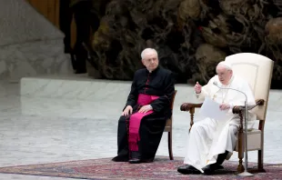 Papst Franziskus bei der Generalaudienz am 16. Februar 2022. / Daniel Ibanez / CNA Deutsch