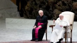 Papst Franziskus bei der Generalaudienz am 16. Februar 2022. / Daniel Ibanez / CNA Deutsch