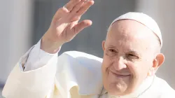 Papst Franziskus / CNA Deutsch / Daniel Ibanez 