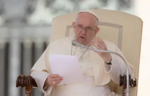 Papst Franziskus bei seiner Katechese auf dem Petersplatz am 25. Mai 2022. / CNA Deutsch / Daniel Ibanez