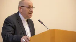 Bischof Wolfgang Ipolt / Daniel Ibañez / CNA Deutsch