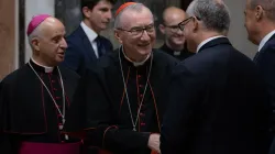 Kardinalstaatssekretär Pietro Parolin  / Daniel Ibáñez / CNA Deutsch