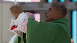 Kardinal Peter Ebere Okpaleke / Daniel Ibanez / CNA