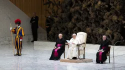 Papst Franziskus bei der Generalaudienz am 8. Februar 2023 / Daniel Ibáñez / CNA Deutsch