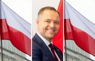 Karol Nawrocki / Gemeinfrei / Unsplash (CC0)