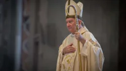Kardinal Pietro Parolin im Petersdom am 3. Oktober 2015 / Mazur/catholicnews.org.uk