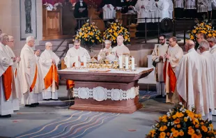 Zahlreiche Konzelebranten standen mit Erzbischof em. Hans-Josef Becker im Pontifikalamt am Altar / Besim Mazhiqi / Erzbistum Paderborn