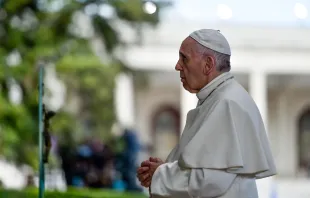 Papst Franziskus beim Gebet in Fatima am 12. Mai 2017 / Agencia LUSA