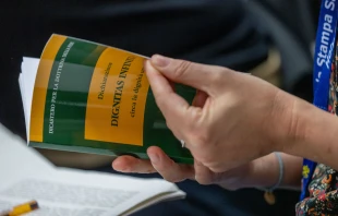 „Unendliche Würde“: Vorstelliung der Erklärung im Vatikan am 8. April 2024 / Daniel Ibáñez / CNA Deutsch