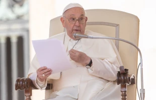 Papst Franziskus / Daniel Ibáñez / CNA Deutsch