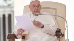 Papst Franziskus / Daniel Ibáñez / CNA Deutsch
