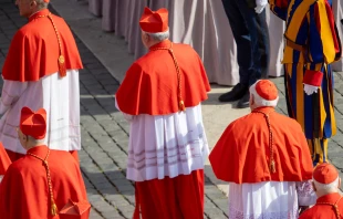 Kardinäle in Rom (Symbolbild) / Daniel Ibáñez / EWTN News