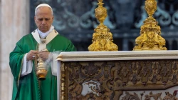 Papst Leo XIV. / Daniel Ibáñez / EWTN News
