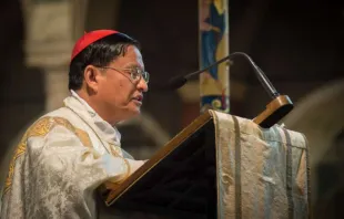 Kardinal Charles Maung Bo / Foto: Mazur / catholicnews.org.uk