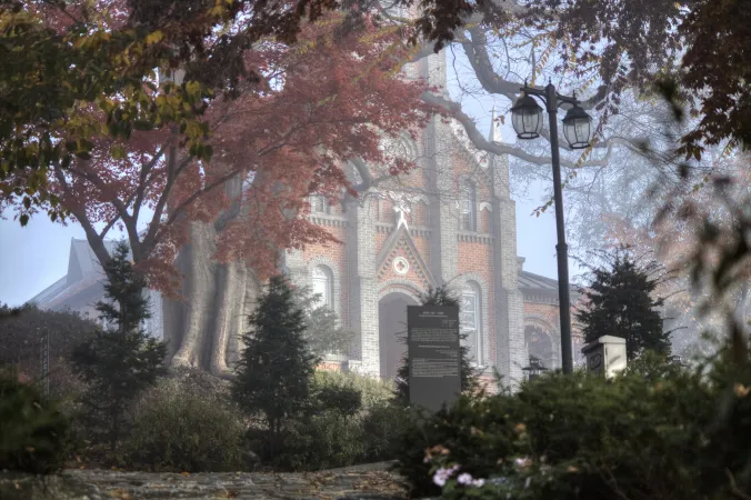 Von Kirschbäumen umrankt: Der Gongseri-Dom in Asan, Südkorea.
