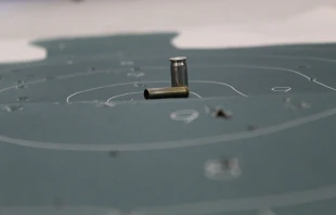 Illustration  / Laine Cooper / Unsplash (CC0) 