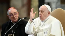 Papst Franziskus spricht zu Priestern des Bistums Rom am 13. Januar 2024. / Vatican Media