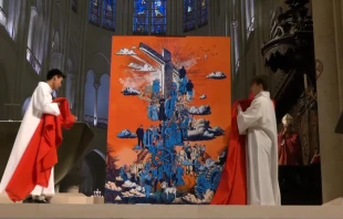 Seligsprechung in der Pariser Kathedrale Notre-Dame / Screenshot von YouTube