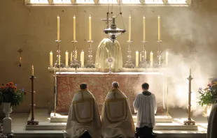 Eucharistische Anbetung des Oxford Oratoriums an Fronleichnam / Flickr / Lawrence OP (CC BY-NC 2.0) 