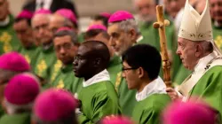 Papst Franziskus feiert die Messe zum Weltmissionstag am 20. Oktober 2019.  / Daniel Ibanez / CNA Deutsch 